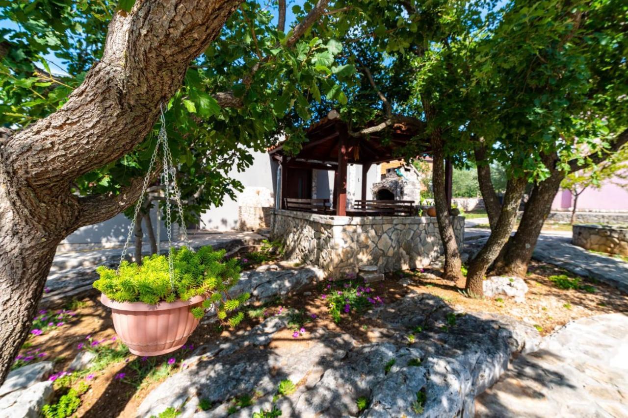 Villa Eagle Benkovac Kültér fotó