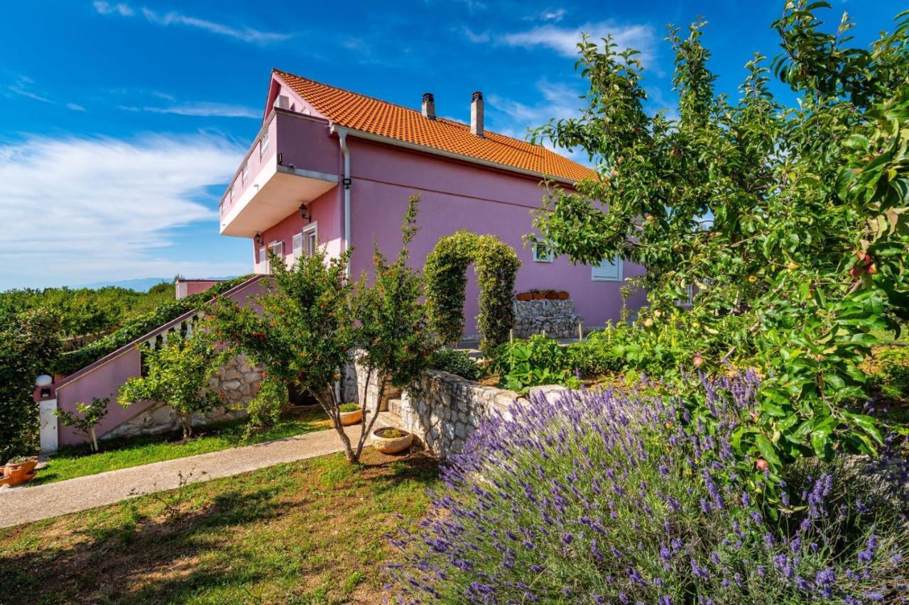 Villa Eagle Benkovac Kültér fotó