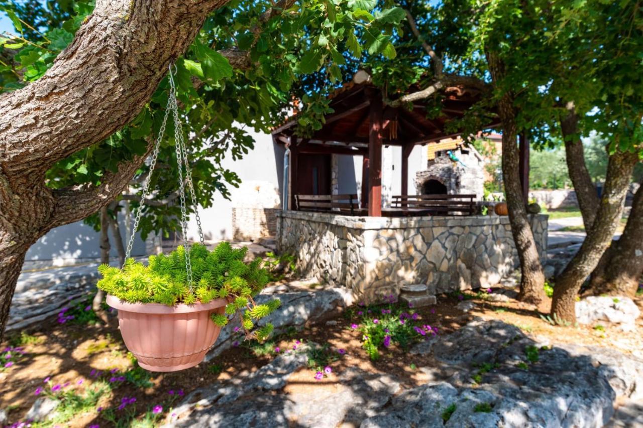 Villa Eagle Benkovac Kültér fotó